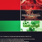 Picture for song 'Asafo ft. MensaSmoov & Ace ~ Everyday Is Pay Day' by artist 'AsaFoBMP'