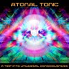 Picture for song 'Conclude' by artist 'Atonal Tonic (SPAIN)'