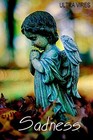Picture for song 'Sadness ( Demo )' by artist 'AUDIO DELIGHT ( FOR ULTRA VIRES )'