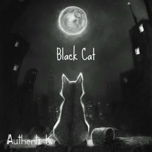 Picture for song 'Black Cat (Melancolic Guitar Beat)' by artist 'Authenti K Beatmaker'