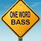 Picture for song 'BASSOTRONICS - One Word, Bass' by artist 'BASSOTRONICS'