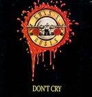 Picture for song 'Don't Cry' by artist 'Benjie Beatz (USA)'