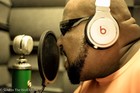 Picture for song 'Lyrical Gunplay (premix)' by artist 'BIG GORILLA GRODD'