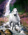 Picture for song 'left side 292867' by artist 'Blackspur82'