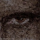 Picture for song 'Crazy for this girl' by artist 'Bloodflowers'