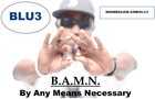Picture for song 'ALL I NEED F. JM' by artist 'BLU3'