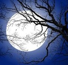 Picture for song 'Gritali_Noites' by artist 'BMP Zagatiprod'