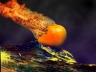 Picture for song 'Citrus Burns' by artist 'Boris Alnow'