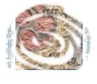 Picture for song 'Lion of Erin (Thomond /Briahin/ On the way/Clon' by artist 'BRANAWEN'