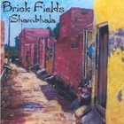 Picture for song 'Higher and Higher' by artist 'brick fields'