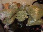 Picture for song 'Hustle (Freestyle)' by artist 'Buddy Green'
