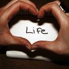 Picture for song 'L I V E & L O V E ; (RadioQualityHit)' by artist 'BUY5BEATSFOR20DOLLARS'