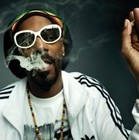 Picture for song 'Indica Dreams' by artist 'buybeatsandtracks.com'