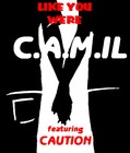 Picture for song 'Like You Were ft CAUTION' by artist 'CAMIL'