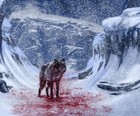 Picture for song 'ANIMAL' by artist 'Canis L'
