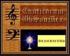 Picture for song 'Canticorum-20110920-Benedictus' by artist 'Canticorum ObSonMex'