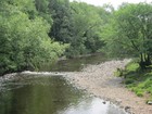 Picture for song 'Let's unwind by the river' by artist 'Carol Douglas'