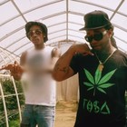 Picture for song 'NEW | Paranoid' by artist 'Cash Jordan'