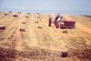 Picture for song 'Balin' Hay' by artist 'Cattle Gate'