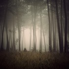 Picture for song 'Zombies' by artist 'caviarclassics'