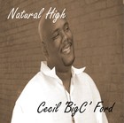 Picture for song 'Indescribable' by artist 'cecilbigcford'