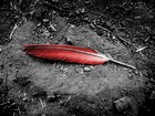 Picture for song 'red star the keeper' by artist 'chadalexanderproductions'