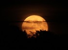 Picture for song '(Keep Wishin' On That) Ol' Restless Moon' by artist 'Chris Douglas'