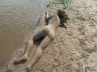 Picture for song 'In the Mud' by artist 'cinnabar'