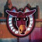 Picture for song 'rented mule - double d' by artist 'Clinton Art and Music Festival'