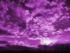 Picture for song 'In the Game(SOLD)' by artist 'C-Mal Beats'