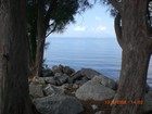 Picture for song 'sitting on the dock side' by artist 'cornell comer'