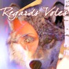 Picture for song 'Regards Voles' by artist 'cosmitron'