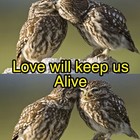 Picture for song 'LOVE WILL KEEP US ALIVE (COVER) BY KOSA' by artist 'CPK (CrisPakerKosa)'