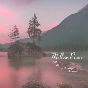 Picture for song 'Moonlight' by artist 'Crazy Tamer'