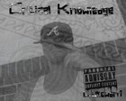 Picture for song '05 - I Gave' by artist 'Critical Knowledge'