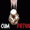 Picture for song 'Fetal Cum Swap' by artist 'Cum Fetus'