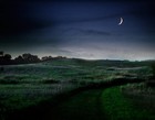 Picture for song 'The Night is Young' by artist 'Curriemaster'