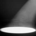 Picture for song 'Spot Light (Only Lease)' by artist 'Damie Muzick'