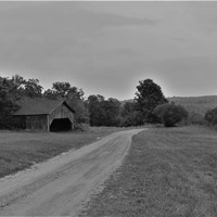 Picture for song 'Trouble' by artist 'Dan Andrade'