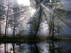 Picture for song 'NiteCrossing' by artist 'Dan Goodman'