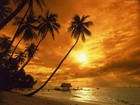 Picture for song 'Caribbean Sunset' by artist 'Darren J Semple'