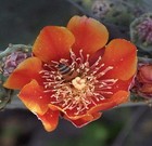 Picture for song 'Come Be A Follower' by artist 'Darren Kleidon'