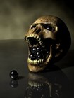 Picture for song '**Head Crack't**' by artist 'Dat Dude Dazzlez'