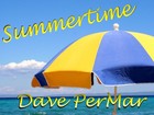 Picture for song 'Summertime' by artist 'Dave PerMar'