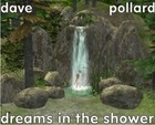 Picture for song 'Dreams in the Shower' by artist 'Dave Pollard'