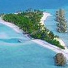 Picture for song 'TIME WILL SAY(things to do)' by artist 'David H Cohen'