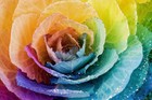 Picture for song 'Beautiful Girl (Electronica Beat)' by artist 'Dealazer Beats Legacy'