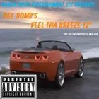 Picture for song 'Feel Tha Breeze' by artist 'Dee Bomb'