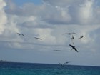 Picture for song 'why worry' by artist 'denis (anguilla)'