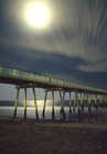 Picture for song 'Under The Pier (practice tape 1)' by artist 'Dial Tone Dead'